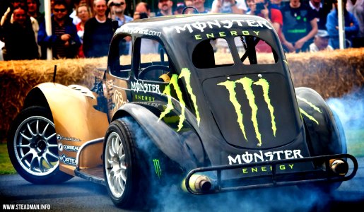 2013 Goodwood Festival Of Speed - Terry Grant