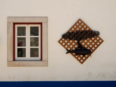 uma janela e algo mais | a window and something else photo