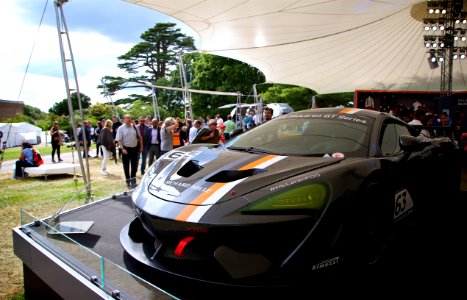 2017-06-30 - Goodwood Festival Of Speed - McLaren Stand