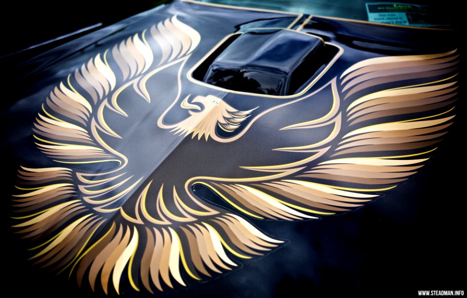 Beaulieu Hot Rod And Custom Day