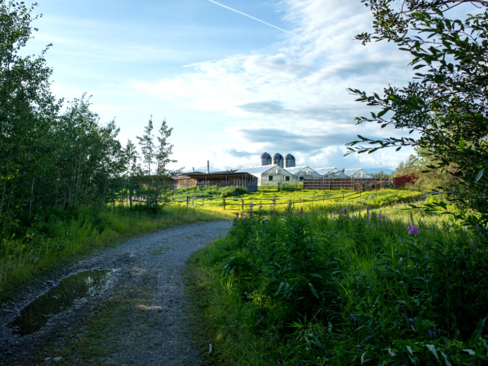 UAF Experimental Farm, Palmer, AK