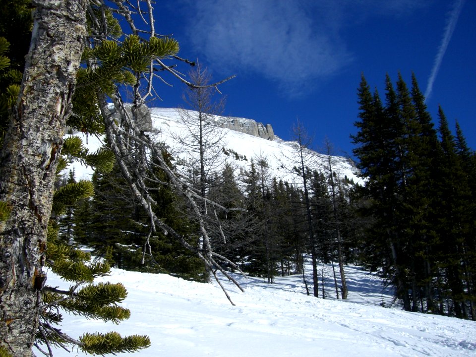 Sunshine Village - Sunshine Coast