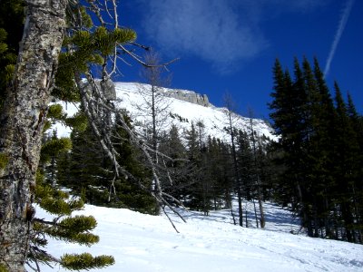 Sunshine Village - Sunshine Coast