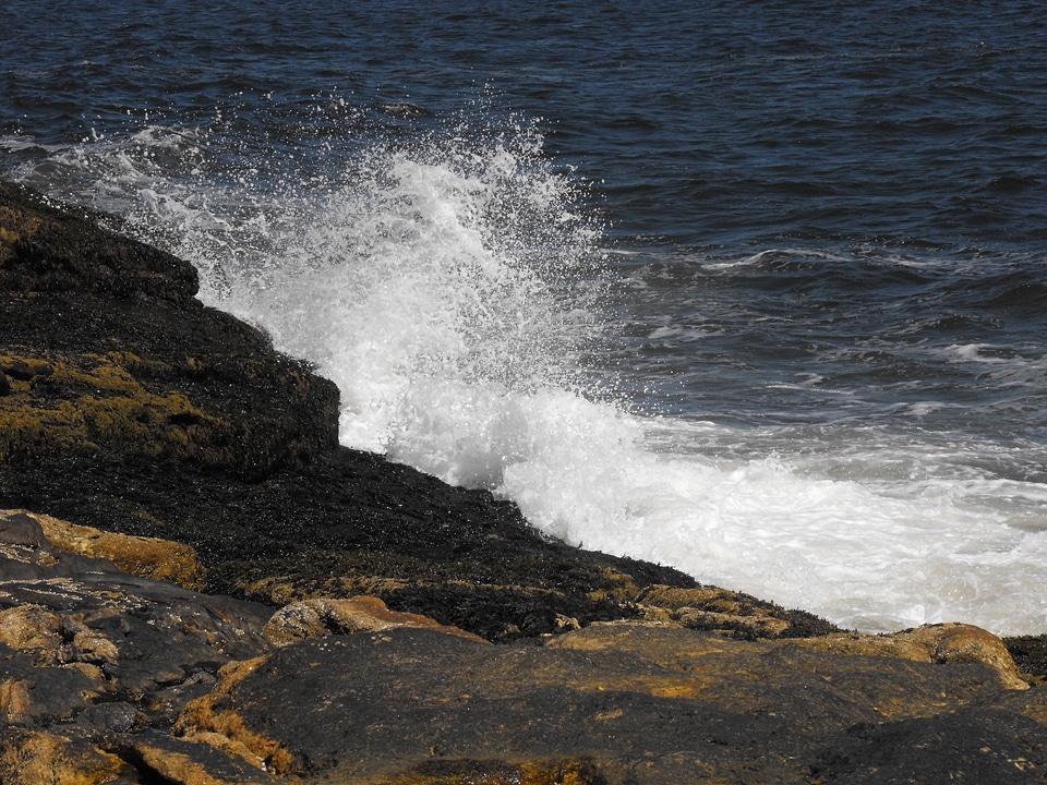 Water coast rocks