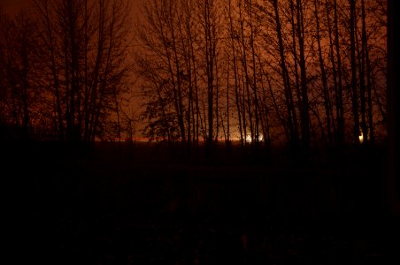 Foggy night