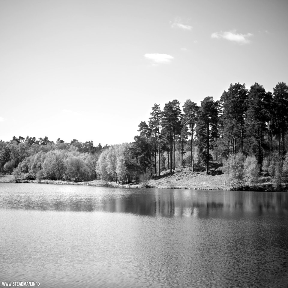 South Farnborough Landscape
