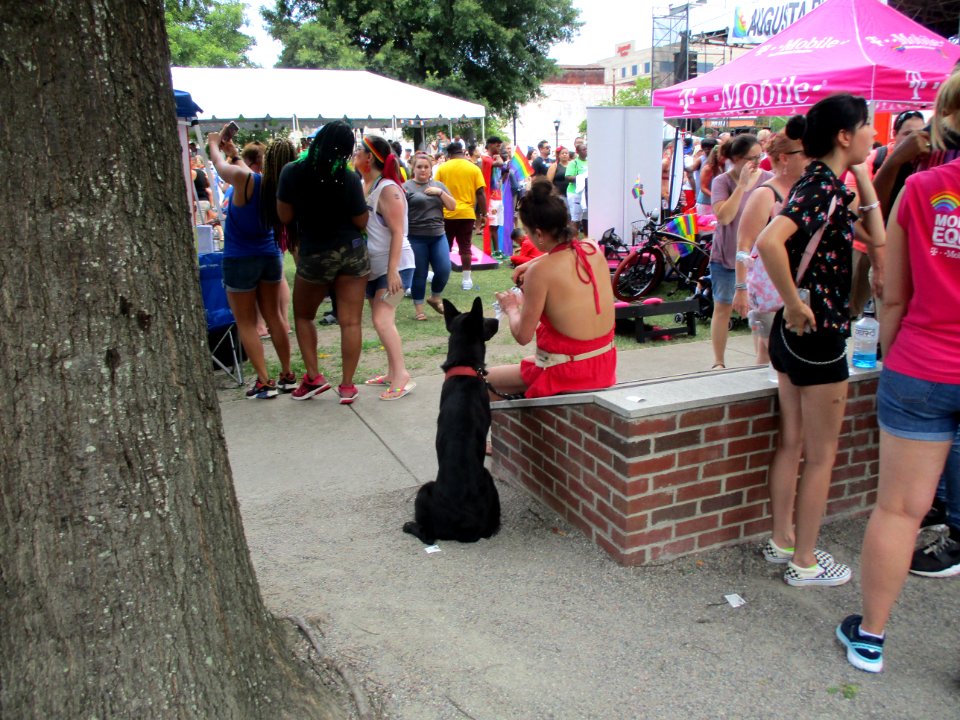 pride festival augusta,ga 2019