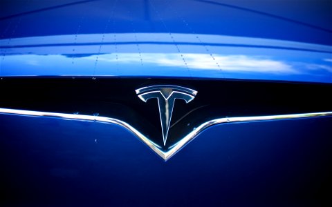 Goodwood Festival Of Speed 2016 - Tesla Logo