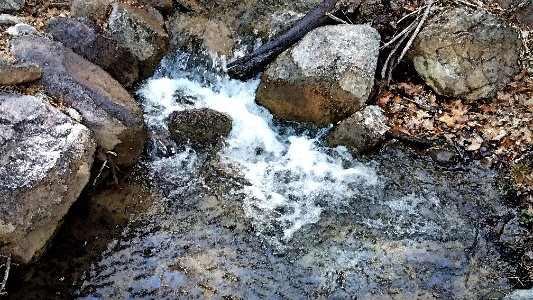 HUACHUCA MTS, Ramsey Canyon, cochise Co, AZ (3-25-2019)  -02 WATERCOLOR
