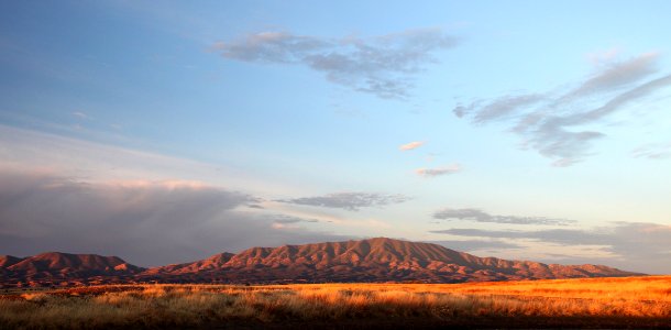 SAN RAFAEL VALLEY GRASSLANDS, SE of Patagonia, scc, az (11-15-12) -11b early morning at tank on border