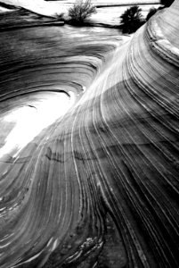 UTAH - South Coyote Buttes  (8)