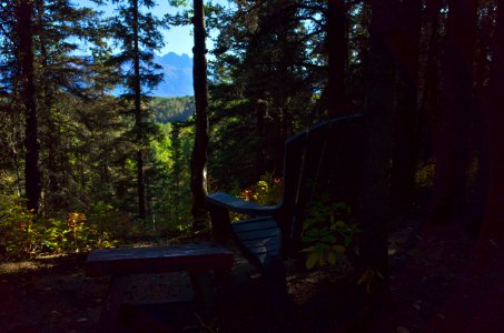 The Vacant Chair