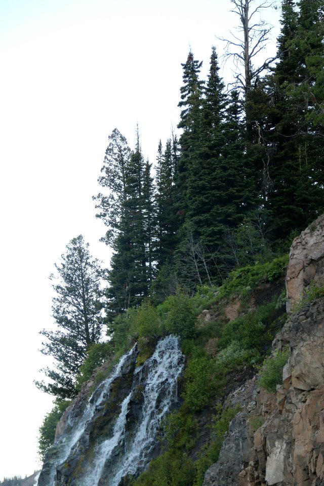IMG 3365