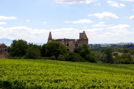 Schloss Burkheim