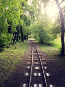 The road to childhood | Дорога в детство