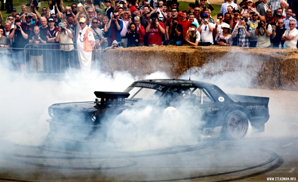 2015 Goodwood Festival Of Speed - Ken Block