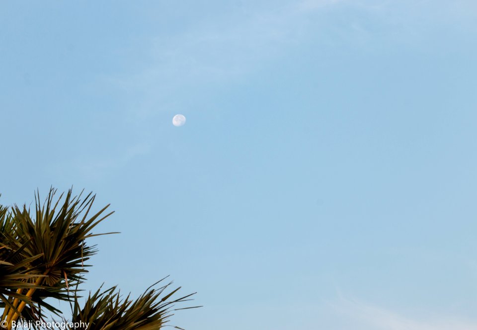 Moon in Morning Sky