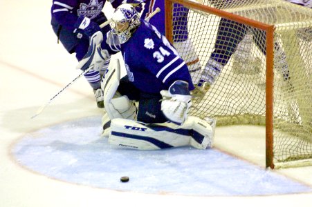 Hamilton Bulldogs Vs Toronto Marlies