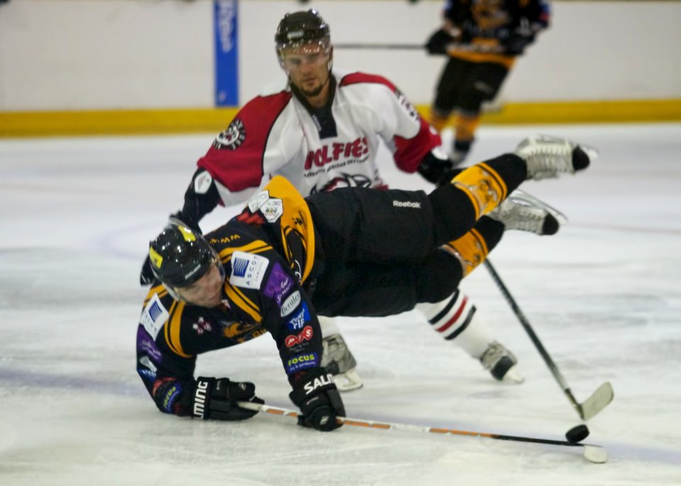 Basingstoke Bison Vs Bracknell Bees