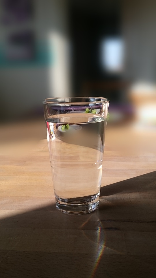 Drink live liquid