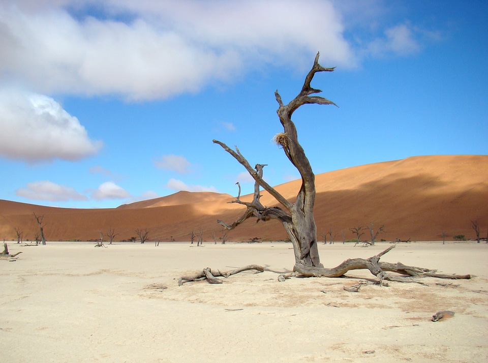 Dune landscape sossusvei