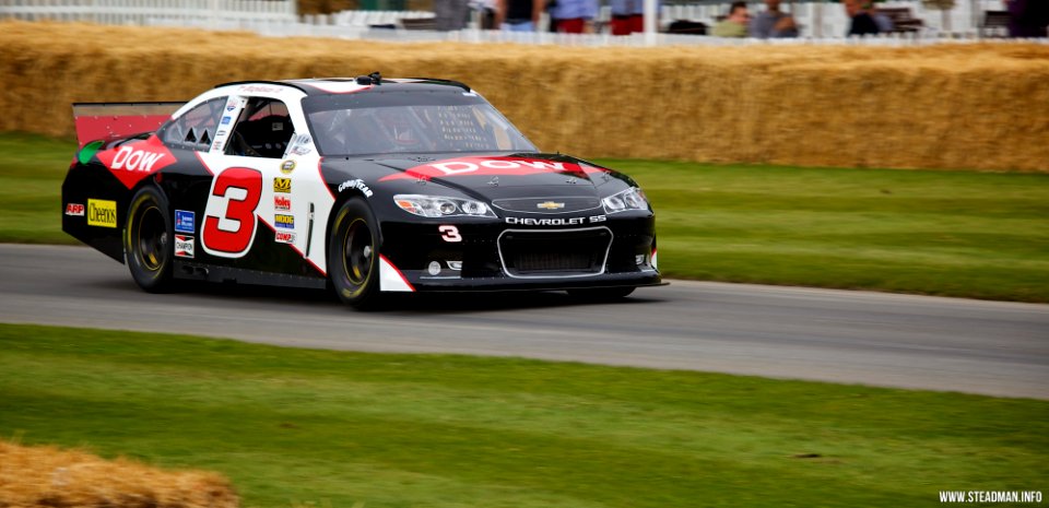2014 Goodwood Festival Of Speed - NASCAR