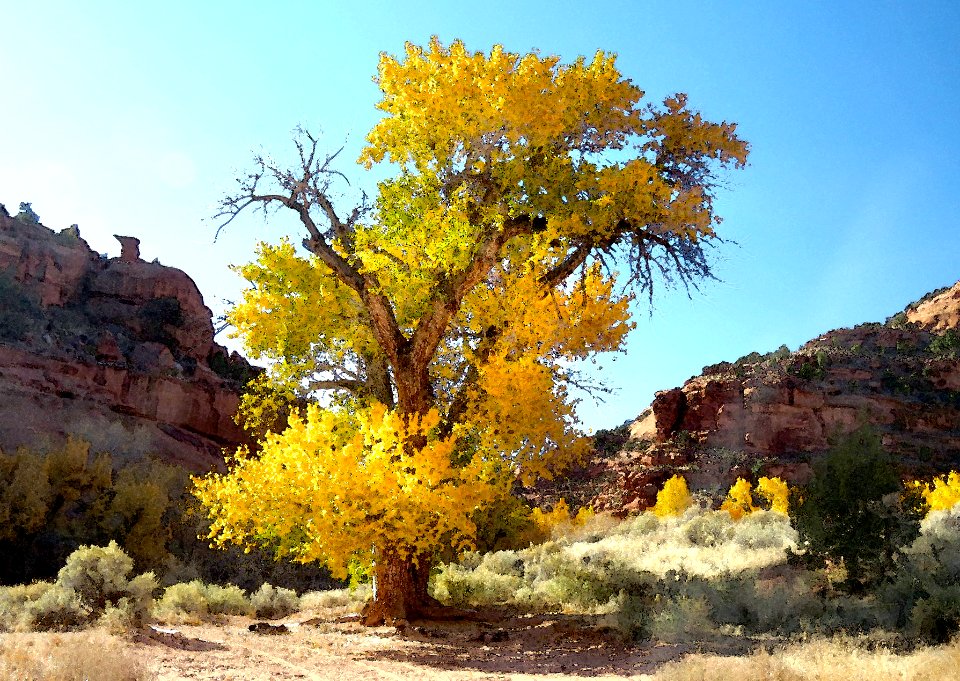 UT - (10-24-2017) - 3 - Along Burr Trail (4c)