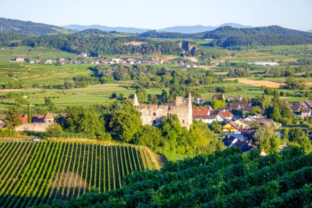 Burkheim Ruine