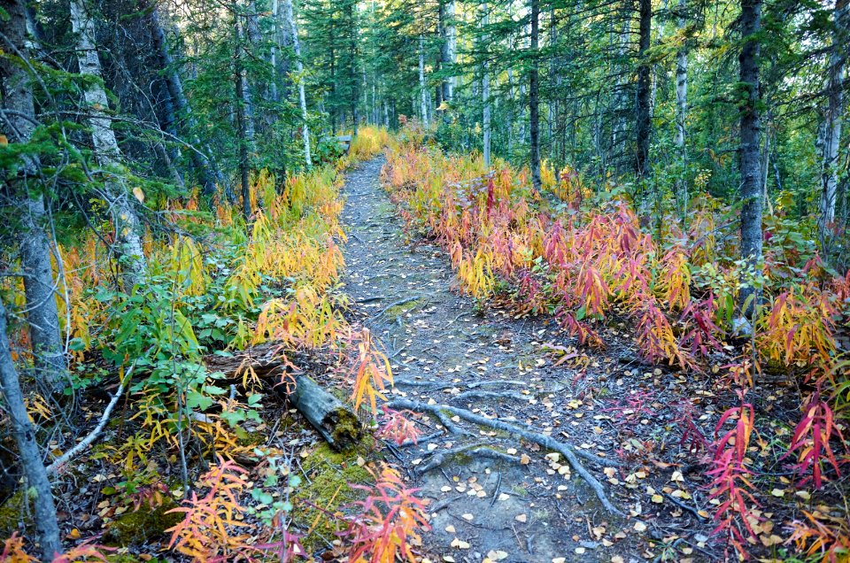 Colours of Autumn II