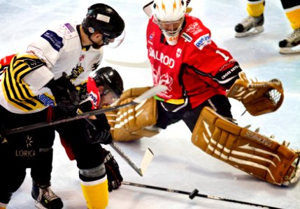 Bracknell Bees Vs Peterborough Phantoms