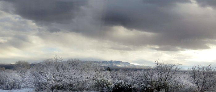 VIEW FROM THE HEREFORD HOUSE - 008 (12-28-2018) -05