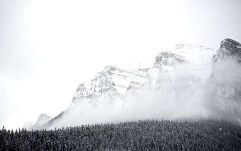 Lake Louise Landscape