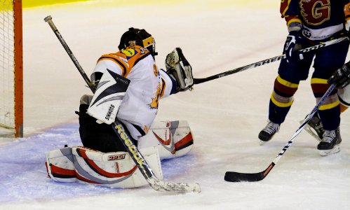 Guildford Flames At Telford Tigers