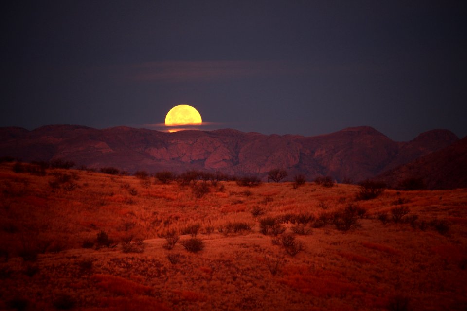 VIEW FROM THE HOUSE - 0252 (1-12-2017) -01 moonset