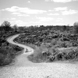 South Farnborough Landscape