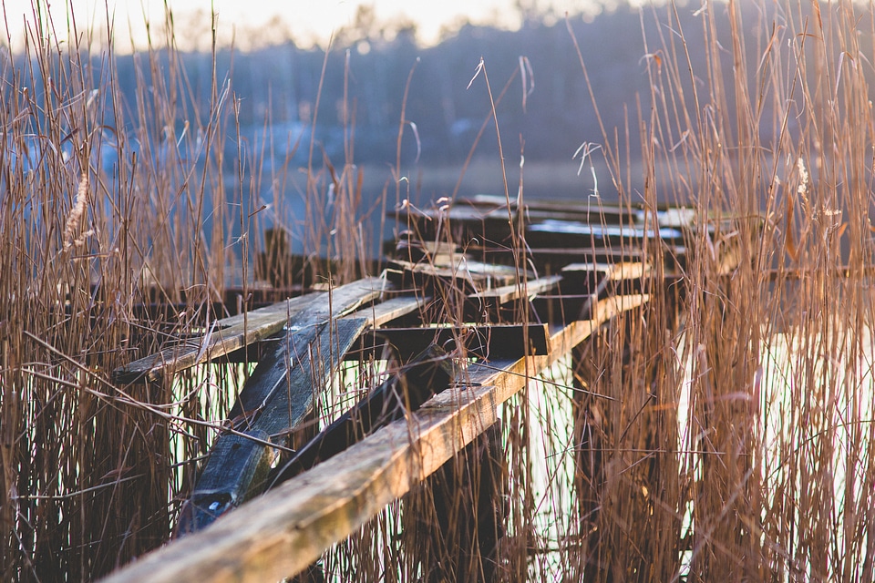 Pier lake wood