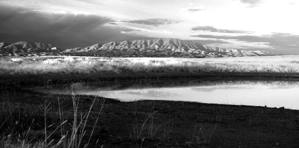 AZ - SAN RAFAEL VALLEY GRASSLANDS, SE of Patagonia, scc  (46)