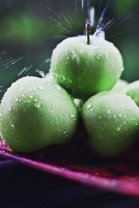 Food water raindrope