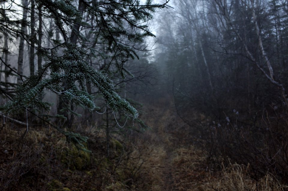 Into the burning fog