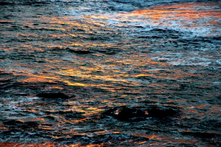 CA 0082a - NORTH COAST ( 12-31-2016) howard landing, westport-union state beach, mendocino co, ca (40)