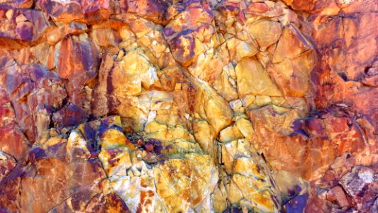 HUMBOLDT CANYON, upper canyon area, Patagonia Hills, scc, az (5-20-14) -01