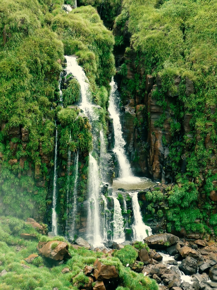 Brazil national park nature
