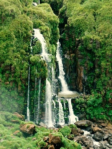 Brazil national park nature photo