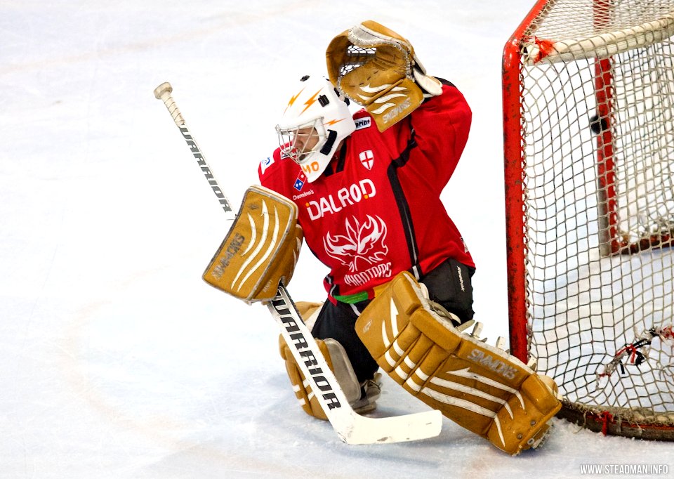 Bracknell Bees Vs Peterborough Phantoms