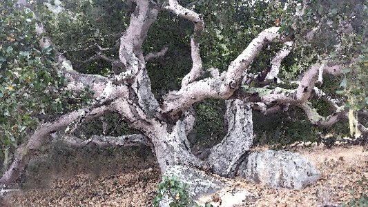 CA - MORRO BAY AREA(12-2017) (1) WATERCOLOR