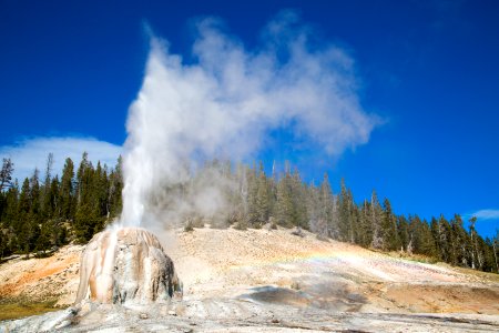 Lone Star Geyser