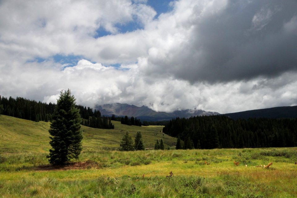 DUNTON MEADOWS -11, near lizard head, dolores co, co - (8-24 25-12) -06