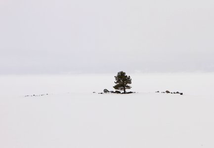 Carrington Island and Yellowstone Lake