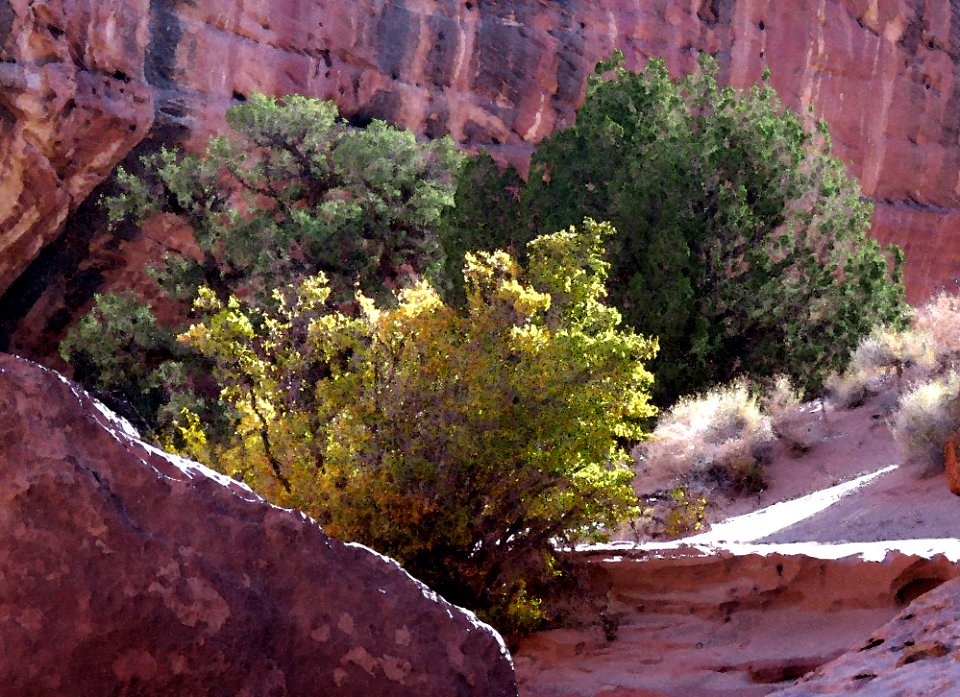 UT - (10-20-2017) WHITE CANYON, Long Canyon Hike (39)
