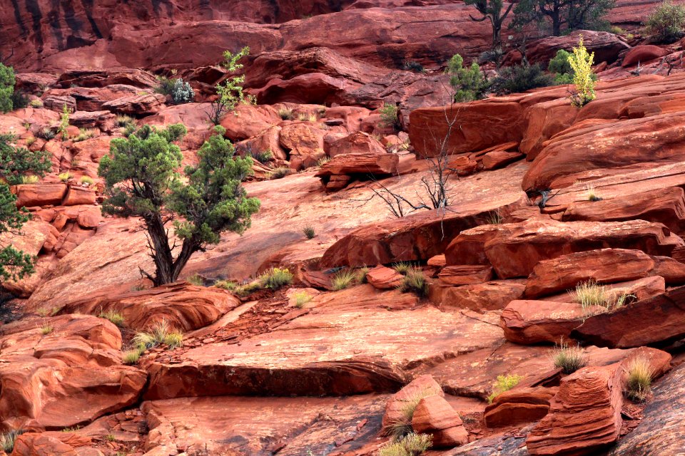 CAPITOL REEF NATIONAL PARK area, GARFIELD CO, UTAH - 2016-09-29 - thru the reef at upper muley twist canyon -03